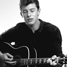 Shawn mendes 